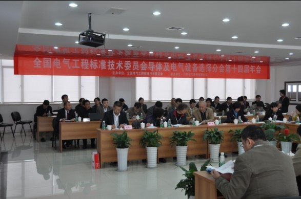 全国电气工程标准技术委员会导体及电气设备选择分会2010年会在合乐HL8集团成功举行