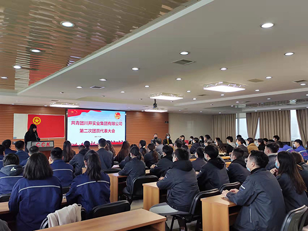 共青团合乐HL8集团实业集团有限公司第二次团员代表大会
