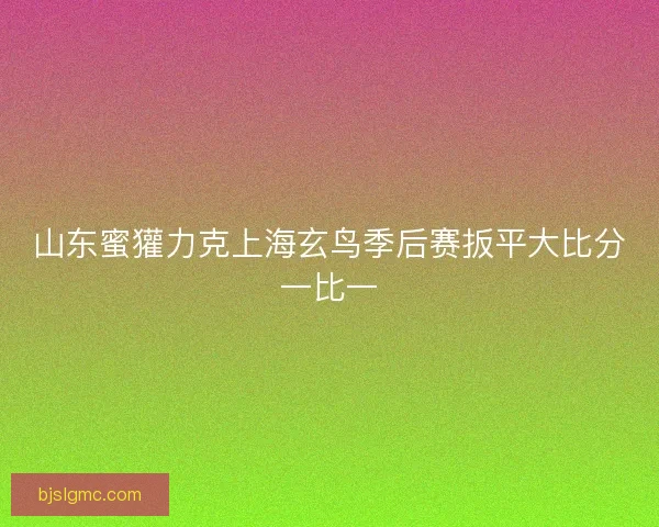 山东蜜獾力克上海玄鸟季后赛扳平大比分一比一